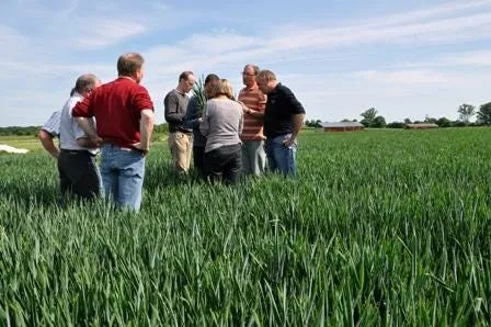 Tour de plaine entre agriculteurs